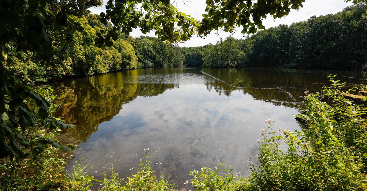 Wie Darmstadt zur SchlauenWasserStadt werden soll